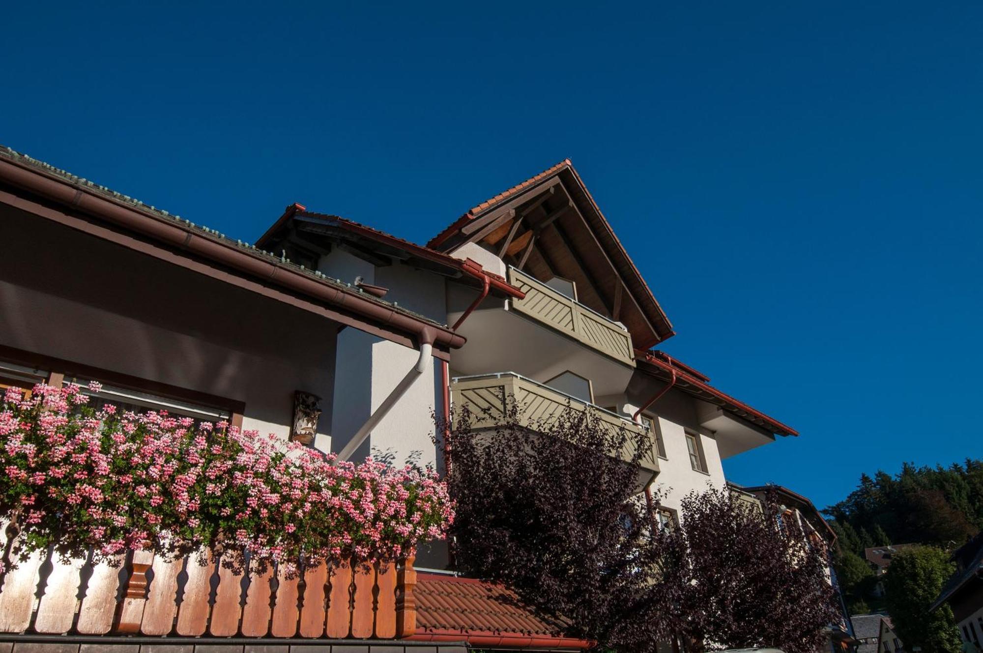 Apartment 06 - Ferienresidenz Roseneck, 2 Schlafzimmer, Mit Schwimmbad In Todtnauberg Bei Feldberg Exterior photo